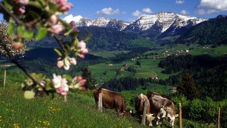 Fewo Alpenbrise, اوبرستوفن المظهر الخارجي الصورة